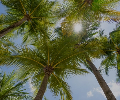 Luxury villas in Alibaug